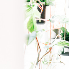 Engemann Freiburg Interieur web 6